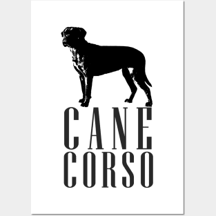 Cane Corso - Italian Mastiff Posters and Art